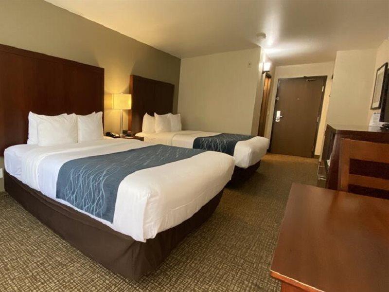 Comfort Inn Lacey - Olympia Exterior foto
