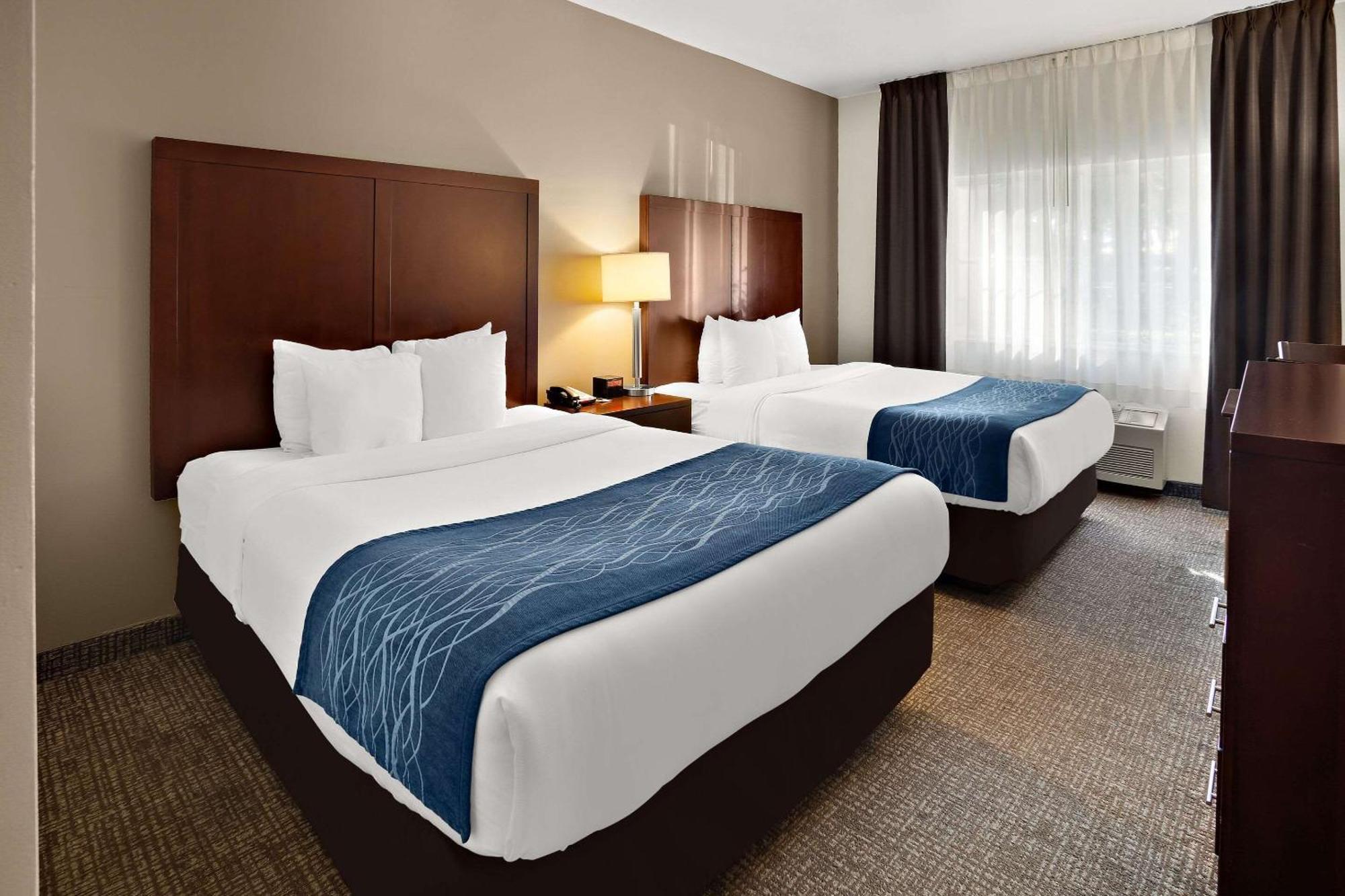 Comfort Inn Lacey - Olympia Exterior foto