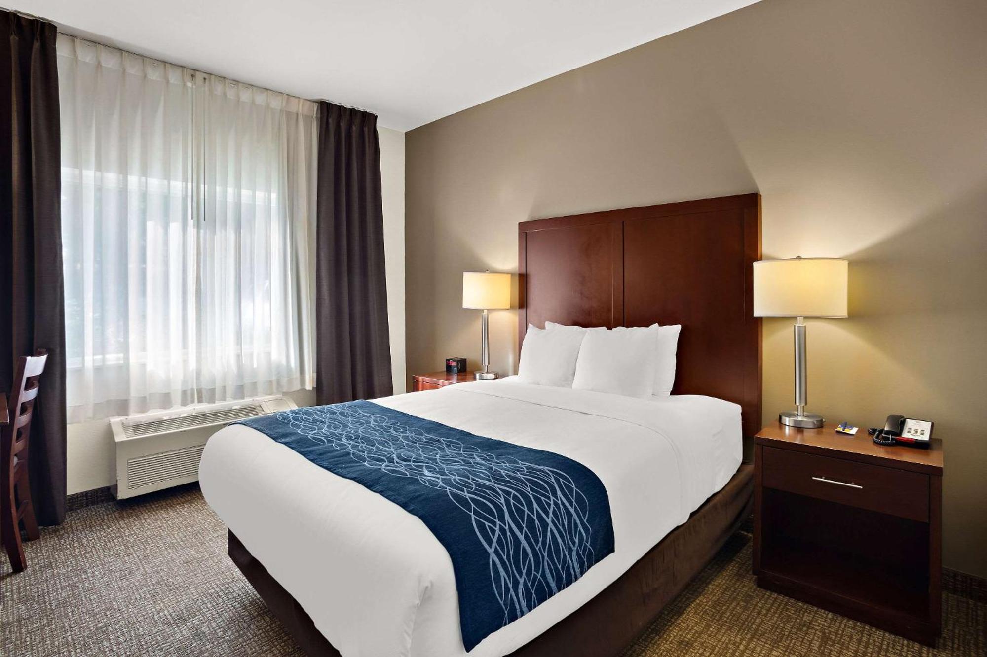 Comfort Inn Lacey - Olympia Exterior foto