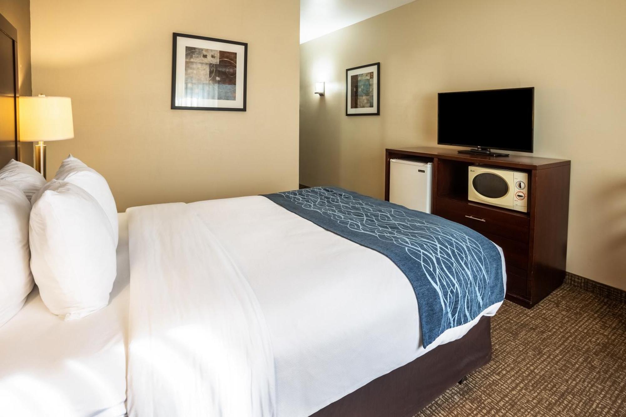 Comfort Inn Lacey - Olympia Exterior foto