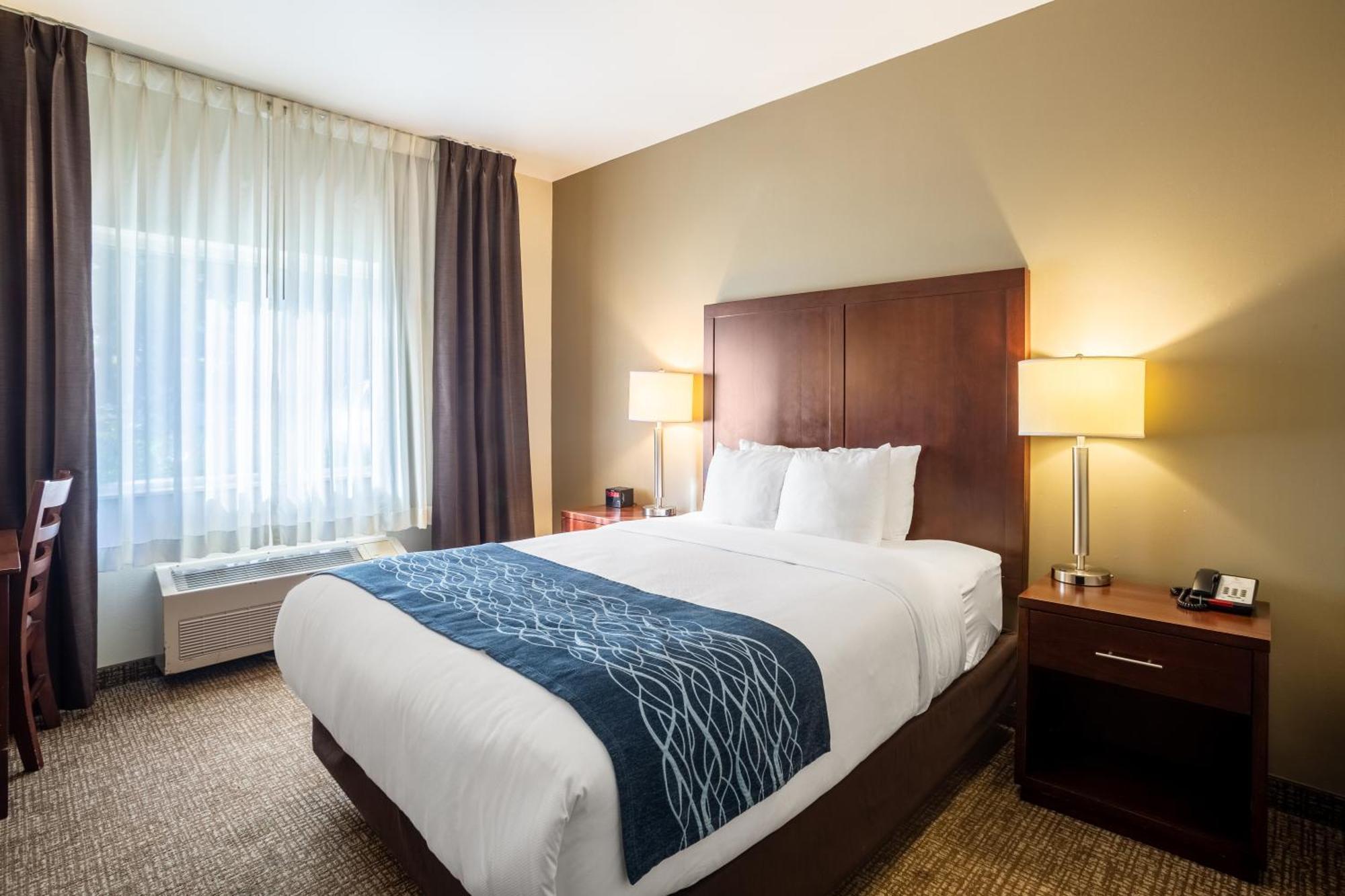 Comfort Inn Lacey - Olympia Exterior foto